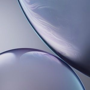 Meet your Posher, Princess